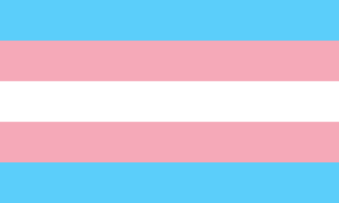 512px-Transgender_Pride_flag.svg